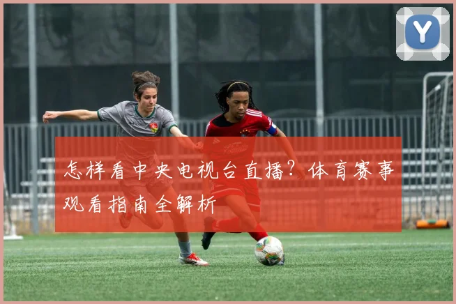 怎样看中央电视台直播？体育赛事观看指南全解析