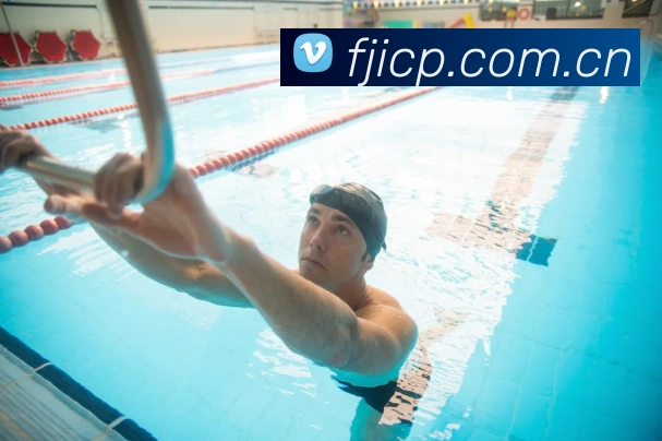 半岛网站平台生态图