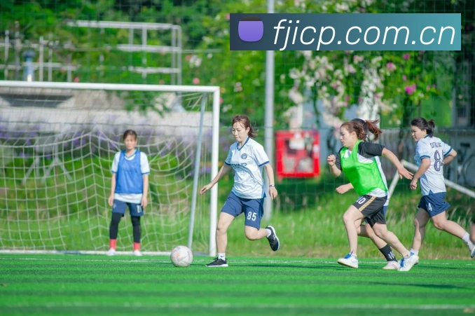 辅助工具 辅助工具